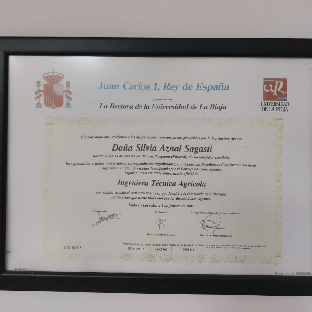 clases particulares en Navarra